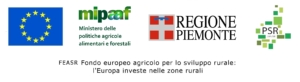 banner loghi PSR v3